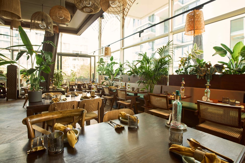 Sfeervolle eetruimte van restaurant Papa Aswa met veel groen, houten meubels, rieten lampen en grote ramen die zorgen voor veel lichtinval.