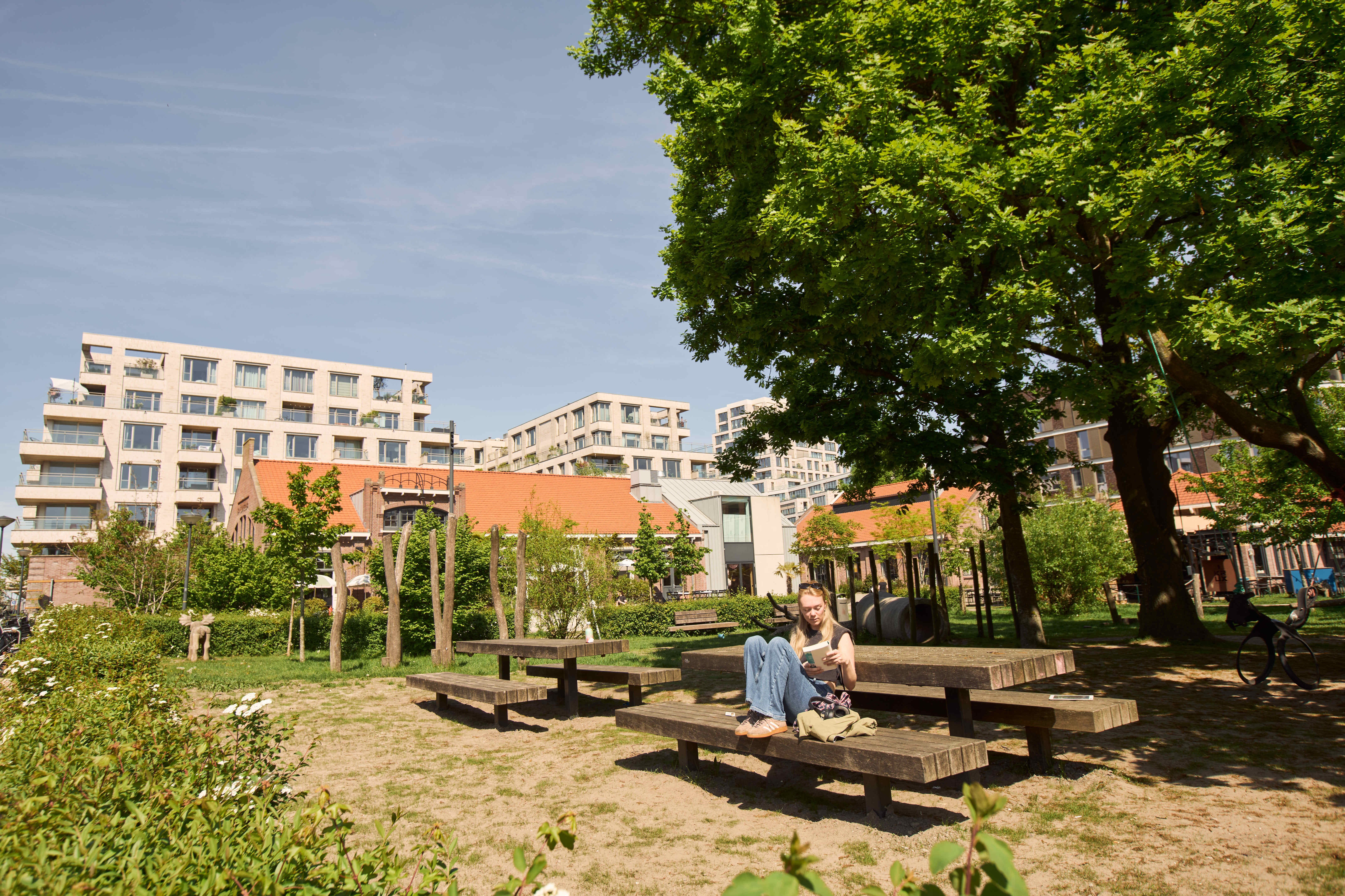 Zonnig buurtpark in Cruquius met houten picknickbanken, volgroeide bomen en moderne appartementen op de achtergrond; een jonge vrouw leest ontspannen in het gras.